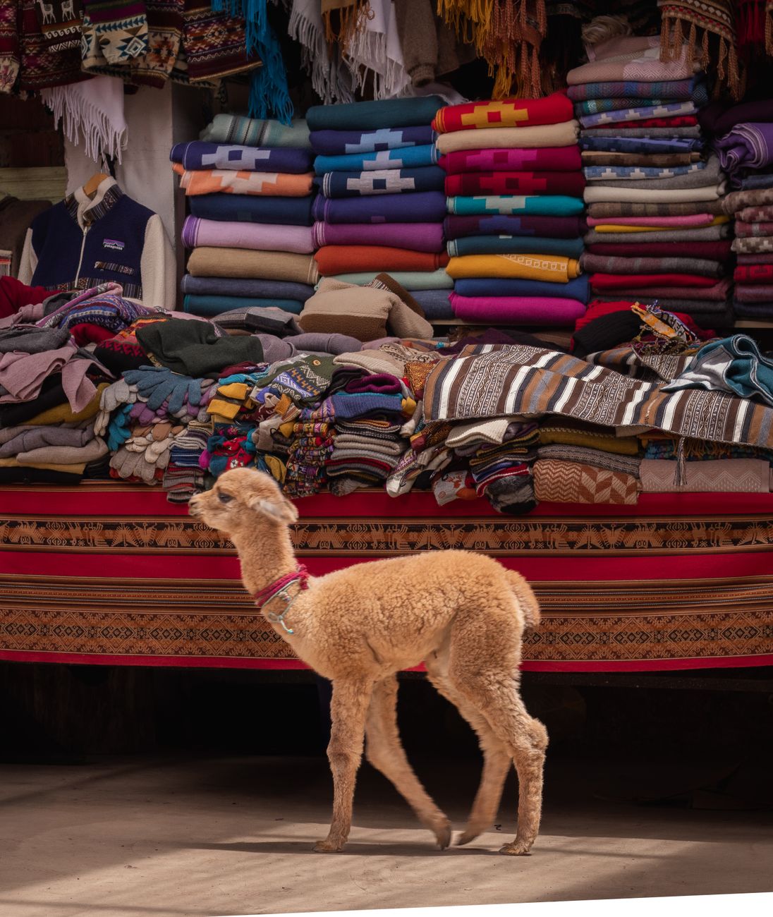 PurelyAlpaca Product 1